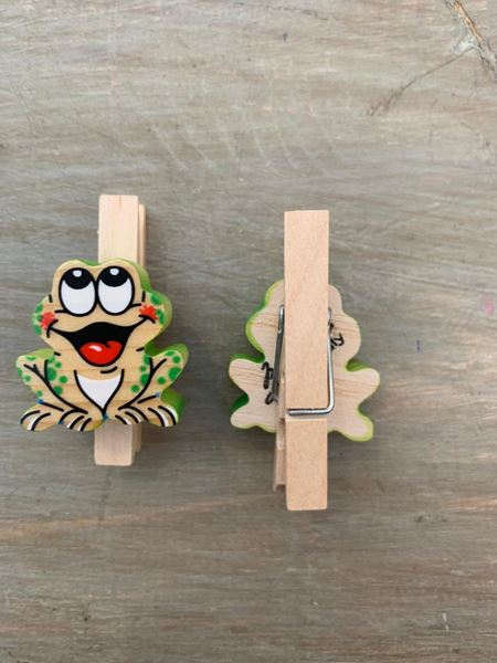 Picture of SMALL CLIP FROG